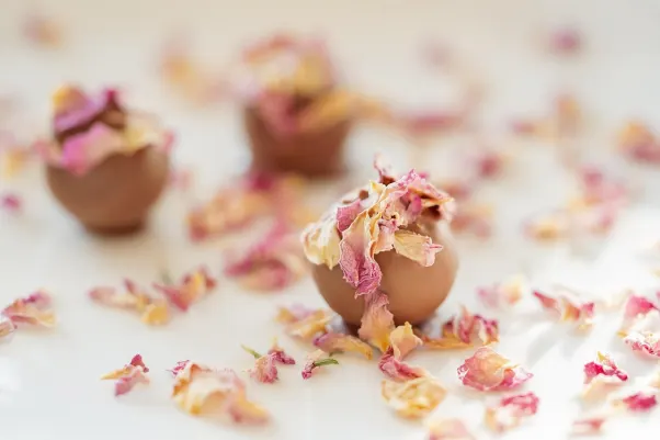 Casino Rocket Slots Aip Android/iOS